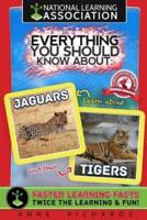 Everything You Should Know About Jaguars and Tigers