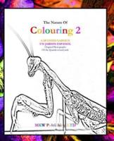 The Nature of Colouring 2
