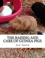 The Raising and Care of Guinea Pigs