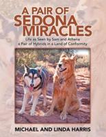 A Pair of Sedona Miracles: Life as Seen by Sam and Athena a Pair of Hybrids in a Land of Conformity