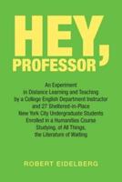 Hey, Professor: An Experiment  in Distance Learning and Teaching  by a College English Department Instructor  and 27 Sheltered-In-Place New York City  Undergraduate Students Enrolled in a Humanities Course Studying, of All Things, the Literature of Waitin