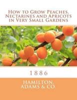 How to Grow Peaches, Nectarines and Apricots in Very Small Gardens