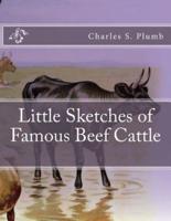 Little Sketches of Famous Beef Cattle