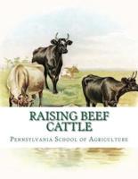 Raising Beef Cattle