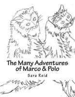 The Many Adventures of Marco & Polo