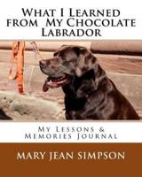 What I Learned from My Chocolate Labrador