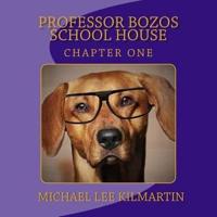 Professor Bozo's School House