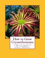 How to Grow Crysanthemums