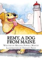 Remy, a Dog from Maine