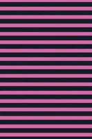 Lizzie Timewarp Notebook (black and pink striped)