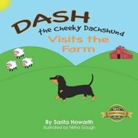 Dash The Cheeky Dachshund Visits The Farm