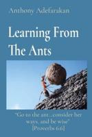 Learning From The Ants: "Go to the ant...consider her ways, and be wise"  [Proverbs 6:6]