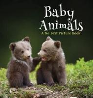 Baby Animals, A No Text Picture Book