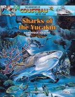 Sharks of the Yucatán: Volume 17 - The Adventures of Cousteau and his Team