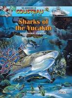 Sharks of the Yucatán