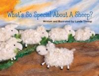 What's So Special About a Sheep?