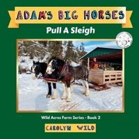 Adam's Big Horses