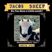 Jacob Sheep