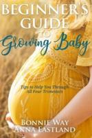 Beginner's Guide to Growing Baby: Tips to Help You Through all Four Trimesters