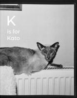 K Is for Kato