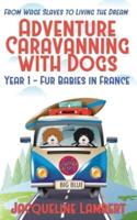 Adventure Caravanning With Dogs