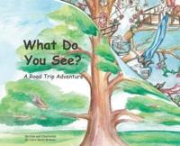 What Do You See?: A Road Trip Adventure (large landscape, hardcover)