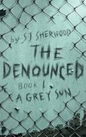 The Denounced. Book 1 Grey Sun