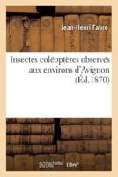 Insectes coléoptères observés aux environs d'Avignon