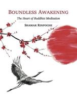 Boundless Awakening