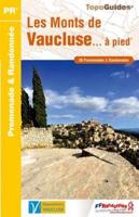 Vaucluse Les Monts Du Vaucluse Pied 38pr