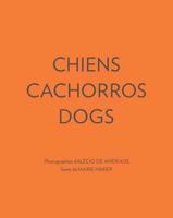 Chiens Cachorros Dogs