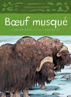 Boeuf Musqué