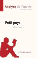 Petit Pays De Gael Faye (Analyse De L'oeuvre)