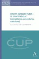 Droits Intellectuels : Le Contencieux (Compétence, Procédures, Sanctions)