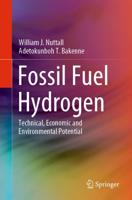 Fossil Fuel Hydrogen : Technical, Economic and Environmental Potential
