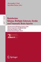 Brainlesion: Glioma, Multiple Sclerosis, Stroke and Traumatic Brain Injuries Image Processing, Computer Vision, Pattern Recognition, and Graphics