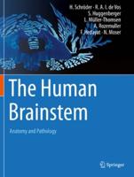 The Human Brainstem