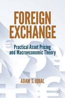 Foreign Exchange : Practical Asset Pricing and Macroeconomic Theory