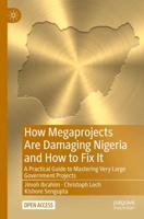How Megaprojects Are Damaging Nigeria and How to Fix It : A Practical Guide to Mastering Very Large Government Projects