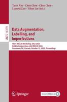 Data Augmentation, Labelling, and Imperfections