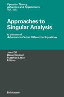Approaches to Singular Analysis Advances in Partial Differential Equations