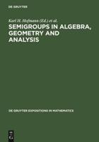 Semigroups in Algebra, Geometry, and Analysis