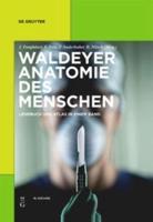 Waldeyer - Anatomie Des Menschen