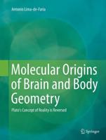 Molecular Origins of Brain and Body Geometry : Plato's Concept of Reality is Reversed