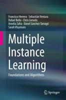 Multiple Instance Learning : Foundations and Algorithms