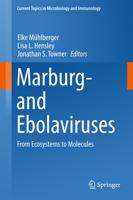 Marburg- and Ebolaviruses : From Ecosystems to Molecules