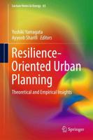 Resilience-Oriented Urban Planning : Theoretical and Empirical Insights