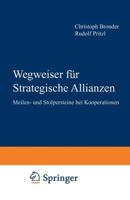 Wegweiser Fur Strategische Allianzen: Meilen- Und Stolpersteine Bei Kooperationen