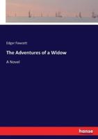 The Adventures of a Widow:A Novel