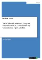 Racial Identification and Diasporic Consciousness in "Americanah" by Chimamanda Ngozi Adichie